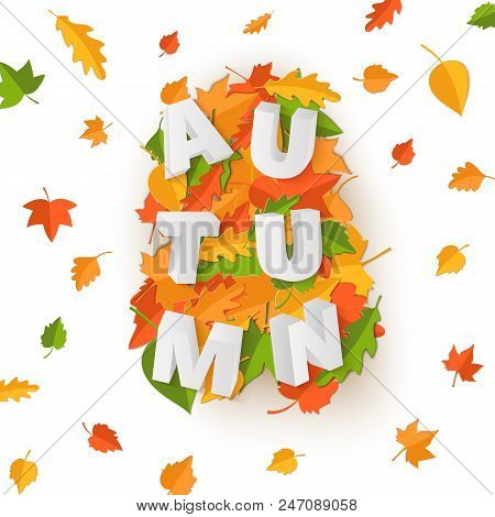 Word Autumn Composition With Green Yellow Red Leaves On White Background In Paper Cut Style. Fall Le