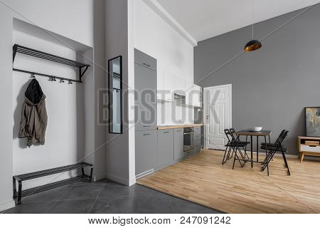 Modern Apartment In Gray And White With Functional Kitchenette