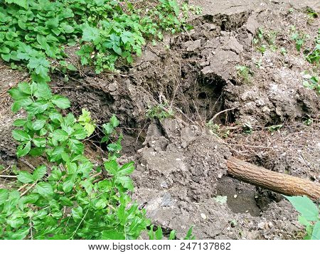 Landslides And Fallen Trees After A Storm