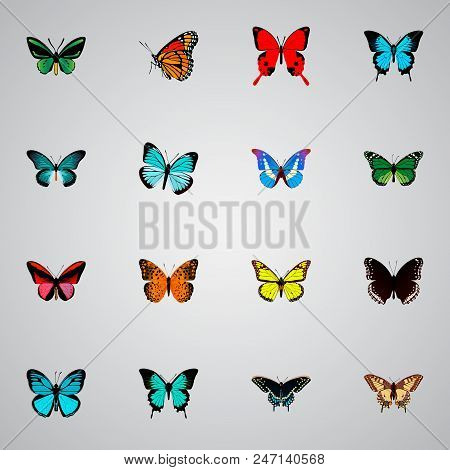 Set Of Butterfly Realistic Symbols With Hairstreak, Checkerspot, Tailed-blue And Other Icons For You