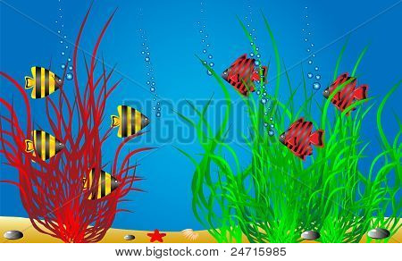 Sea life