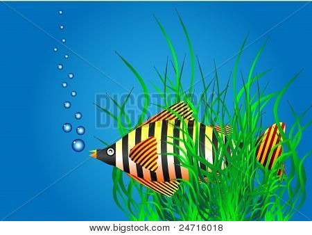 Sea life