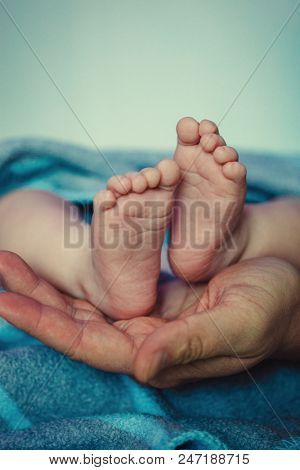 Baby feet in father hands. Ded or grendfather, grendmather and Child. Feet under the protection of the palms. Happy Family concept, conceptual image of maternity