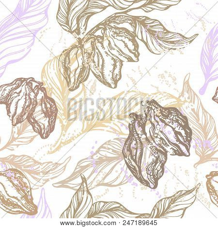 Vector Seamless Pattern Of Hand Drawn Cocoa Tree Branch. Realistic Vintage Set With Leaf, Sweet Bean