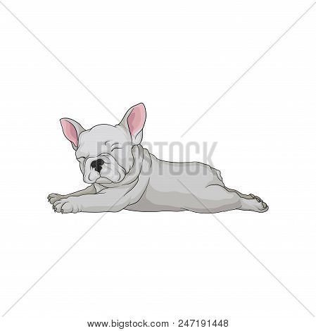 Cartoon Icon Boston Vector Photo Free Trial Bigstock