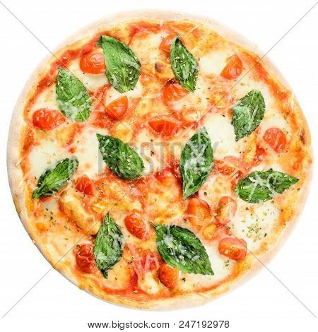 Delicious Homemade Italian Pizza With Cheese, Tomatoes And Basil Leaves Isolated On White Background