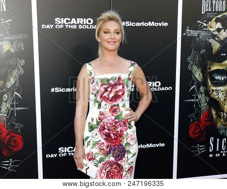Elisabeth Rohm at the Los Angeles premiere of 'Sicario: Day Of The Soldado' held at the Regency Village Theatre in Westwood, USA on June 26, 2018.