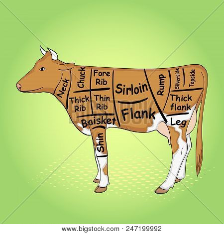 Green Pop Art Background. The Cow For The Restaurant Is Divided Into Parts, Pieces Of Bull Beef Carc