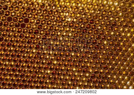 Beecomb Texture Close Up - The Detail - Honey Comb