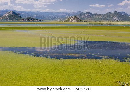 Černá Hora, Skadarsko jezero