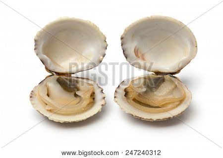 Pair of fresh raw open warty venus clams isolated on white background