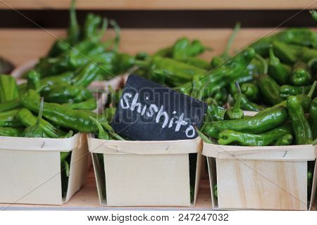 Shishito Pepper On Sale At A Summer Farmers Market