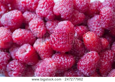 Fresh And Sweet Red Raspberries Texture Background. Raspberry Fruit Pile Background. Selection Of Fr