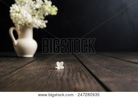 One Flower Of White Lilac In Focus  Over Wooden Background With Copy Space, Loneliness Concept