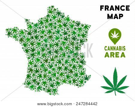 Weed France Map Mosaic Of Marijuana Leaves. Narcotic Distribution Template. Vector France Map Is Com