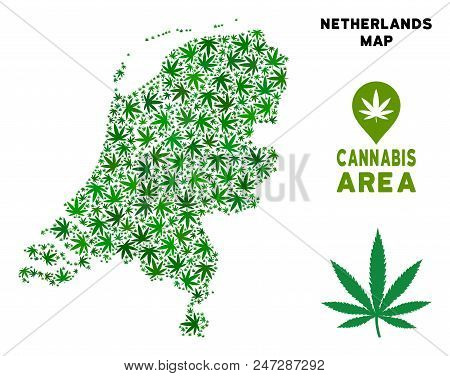 Weed Netherlands Map Mosaic Of Marijuana Leaves. Narcotic Distribution Template. Vector Netherlands 