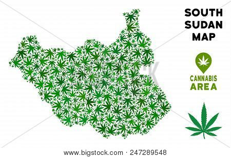 Weed South Sudan Map Collage Of Marijuana Leaves. Narcotic Distribution Template. Vector South Sudan