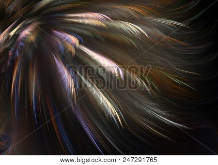 Fractal Pinnate Winged Topknot Background - Fractal Art