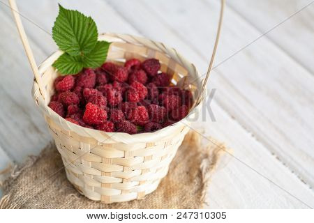 Fresh Juicy Raspberry Bright Saturated Color Collected In A Basket In The Garden