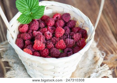 Fresh Juicy Raspberry Bright Saturated Color Collected In A Basket In The Garden