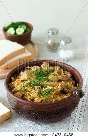 A Traditional Dish Of Some European Countries Is Bigos Made From Cabbage, Other Vegetables And Meat.