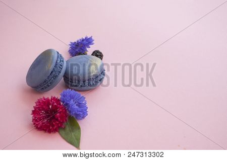 Sweet French Macaroons Flower Petals And Berriens On Pastel Pink Background With Text Space.