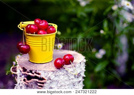 Red Ripe Cherry On A Background
