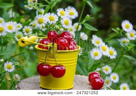 Red Ripe Cherry On A Background