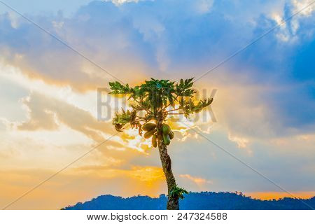 panorama light through the cloud on Nangnon hill Chiang Rai