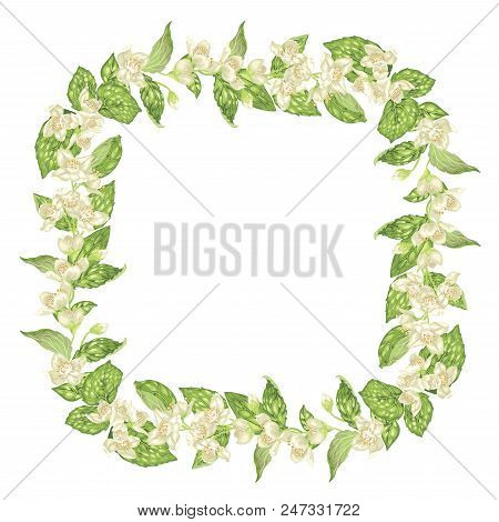 Blooming And Blossom Frame Square Wreath With Jasmine Flowers
