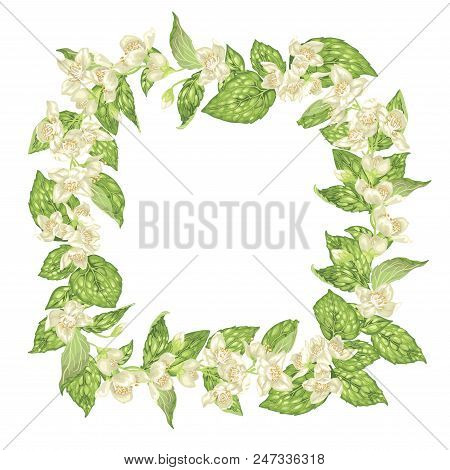 Blooming Frame Square Wreath With Jasmine Flowers