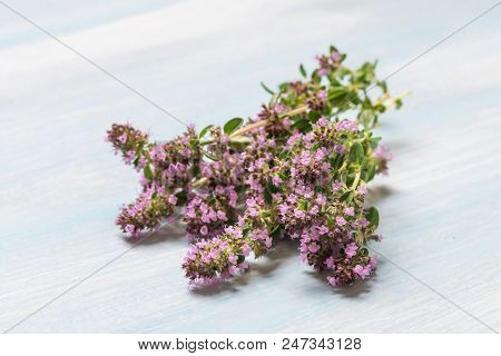 A bunch of flowering oregano on a wooden table