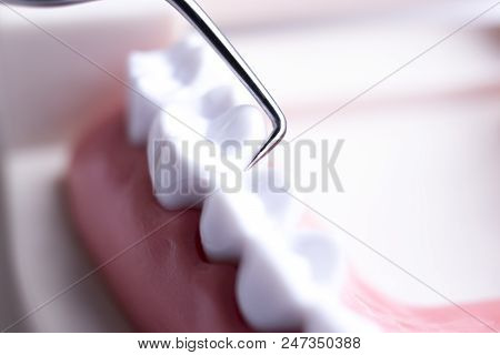 Dentist Cleaning Teeth