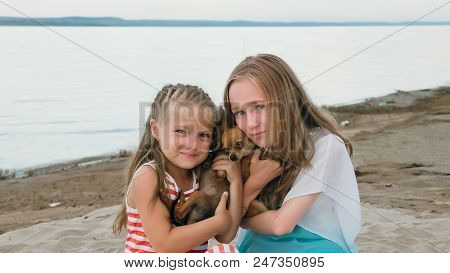 Two Children Playing Which Dogs On The Sand On The Beach. Kid Play With Dogs. They Squeeze Them, Thr
