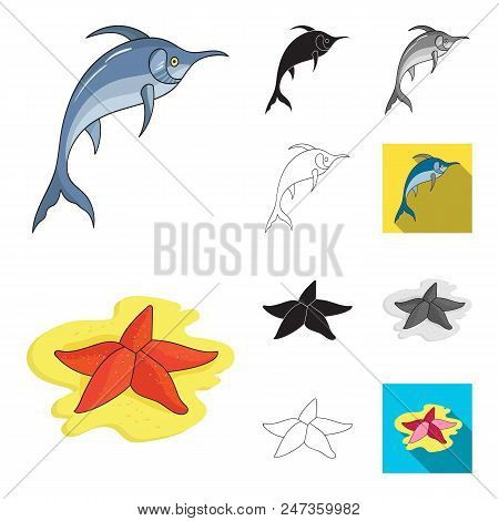 A Variety Of Marine Animals Cartoon, Black, Flat, Monochrome, Outline Icons In Set Collection For De