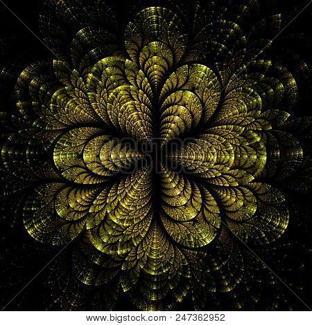 Fractal Pinnate   Pattern  -  Fractal Gloden  Art