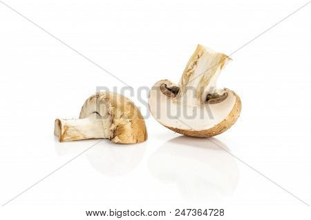 Two Brown Champignons Halves Isolated On White Background Fresh Raw Mushroom