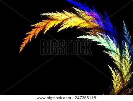 Fractal Branches Isolated On Black  - Fractal Art