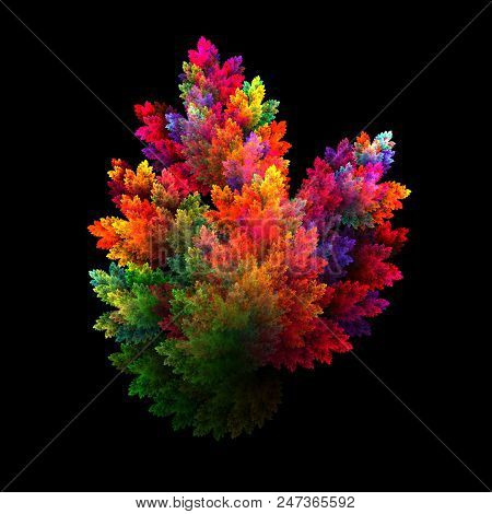 Fractal Branches Isolated On Black  - Fractal Art