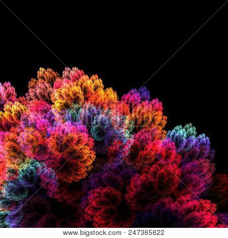 Fractal Alien Branches Isolated On Black  - Fractal Art
