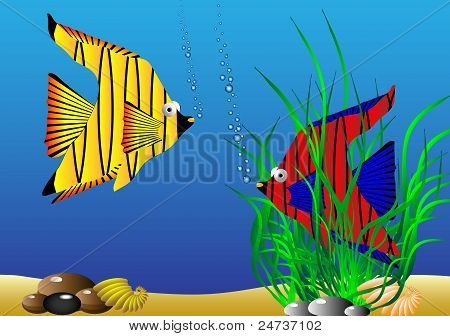 Sea life