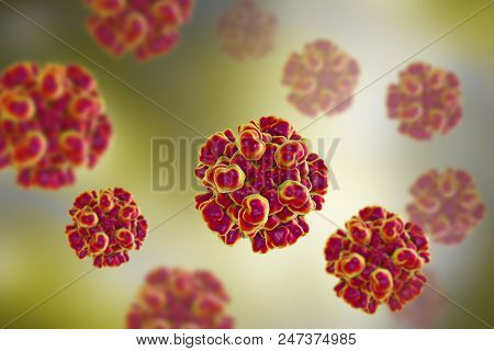 Hepatitis E Viruses, 3d Illustration, Non-enveloped Rna Viruses With Fecal-oral Transmission Route, 