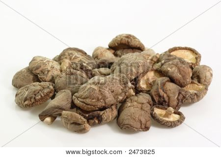 Asia Shiitake