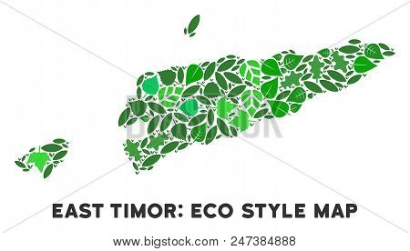 Ecology East Timor Map Mosaic Of Herbal Leaves In Green Color Variations. Ecological Environment Vec