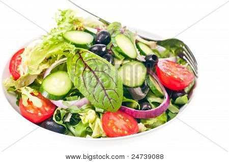 Fresca insalata verde Mesclun Close Up