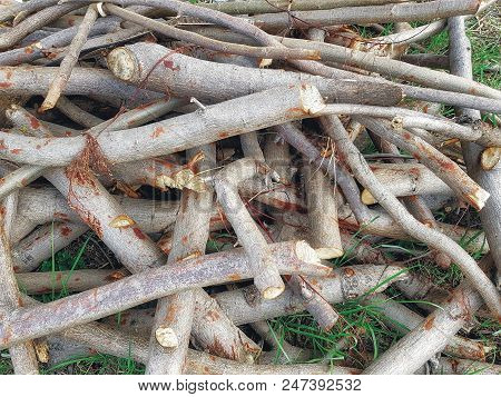 Full Frame Background Of Pile Of Cut Wood Twigs