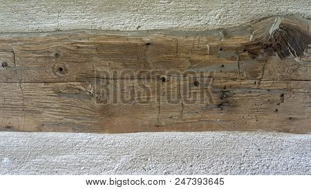 Close-up Of Hand Hewed Log With Knot Set In Cabin Wall With White Mortar On Both Sides