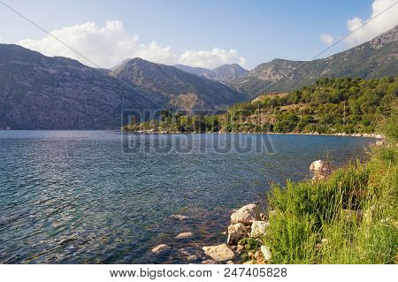 Summer Mediterranean Landscape. Montenegro, View Of Bay Of Kotor(adriatic Sea) Near Risan Town