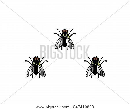 Vector Illustration House Fly Insect Black Fly Isolated On White Background.