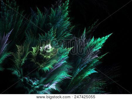 Fractal Pinnate Fern  -  Fractal Art - 3d Image